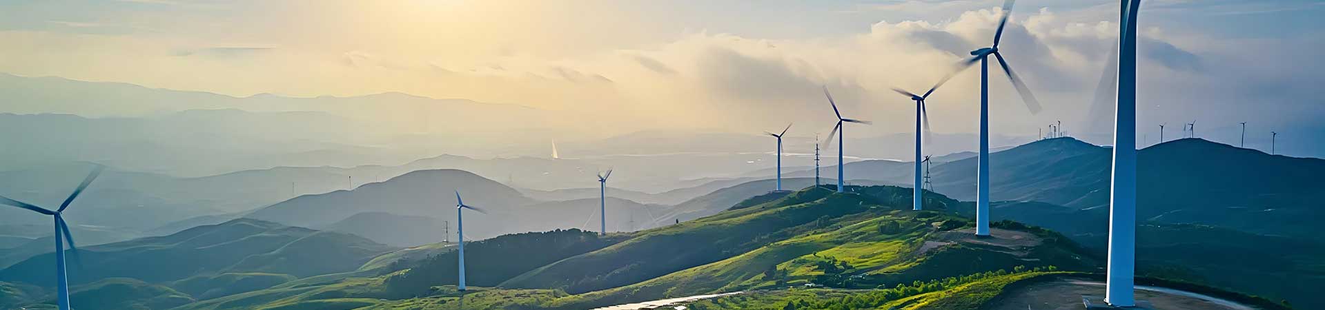 三牛平台USDT支付隆重登场